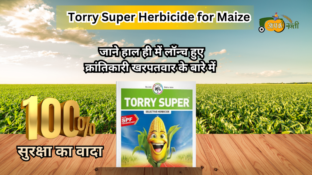 Torrey Super Herbicide for Maize-Aapkikheti.com