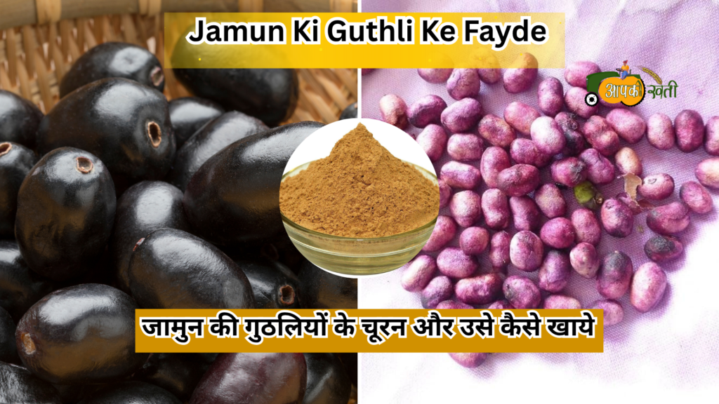 Jamun Ki Guthli ke fayde-Aapkikheti.com
