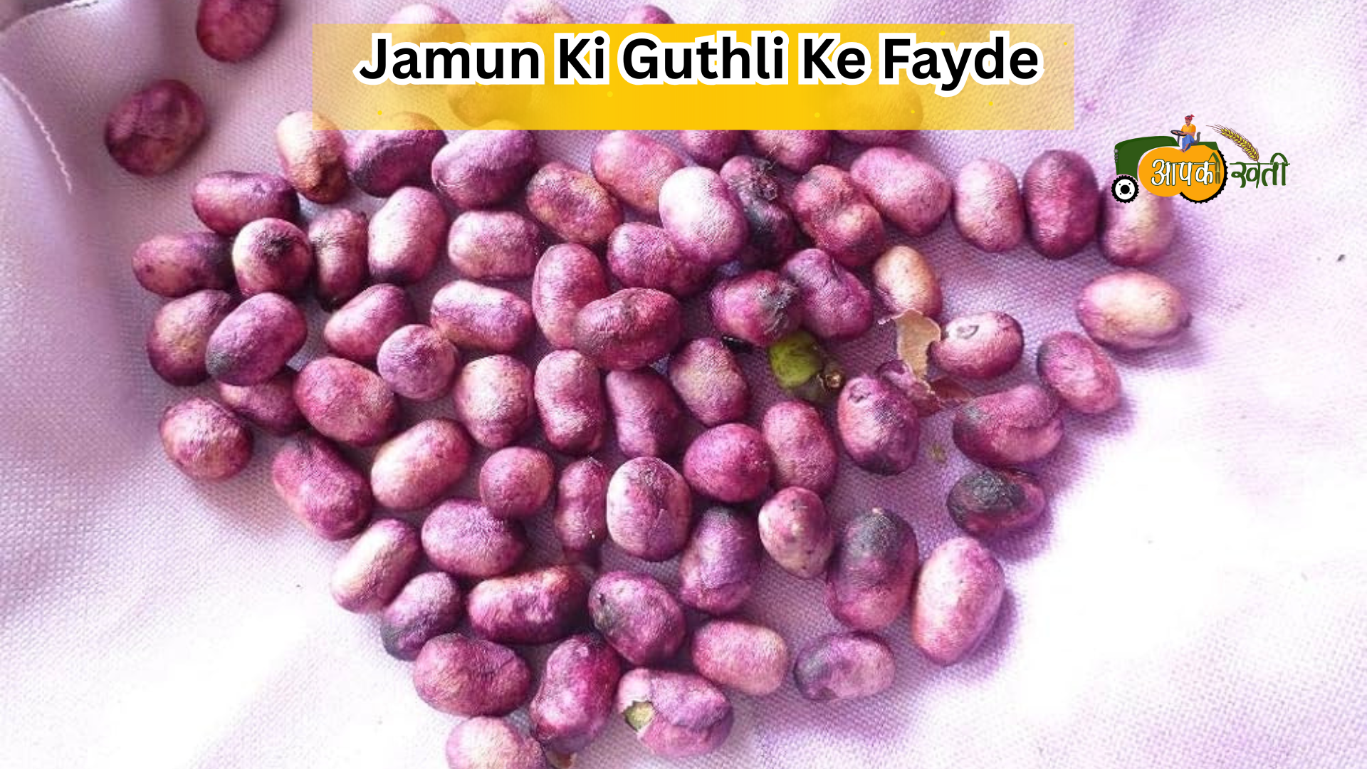 Jamun Ki Guthli ke fayde-Aapkikheti.com