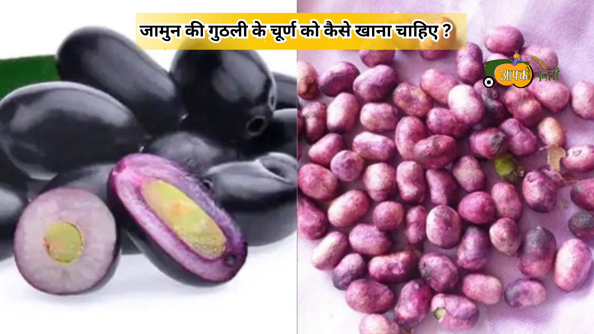 Jamun Ki Guthli ke fayde-Aapkikheti.com