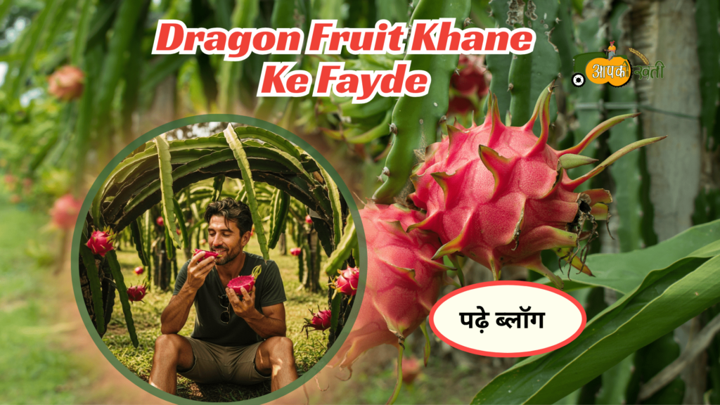 Dragon Fruit Khane Ke Fayde-Aapkikheti.com