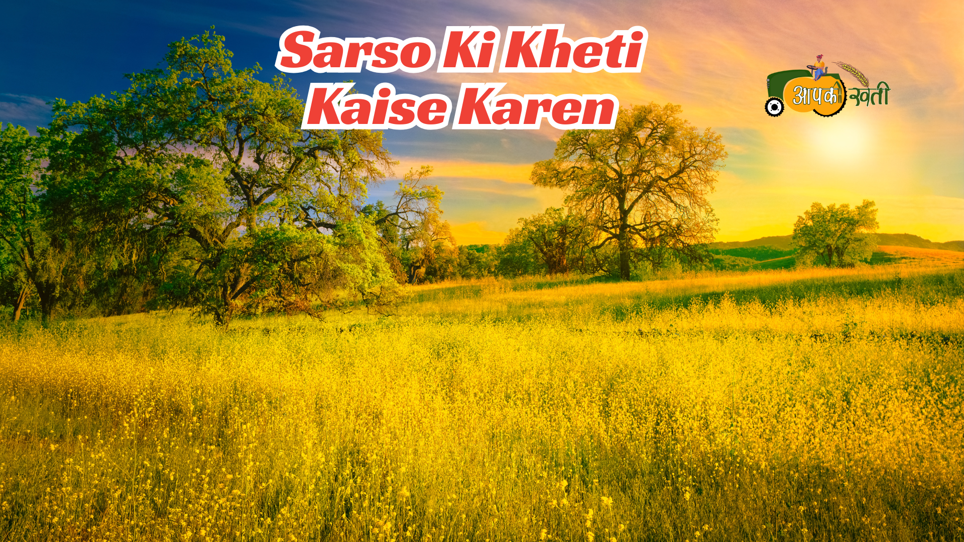 sarso ki kheti-Aapkikheti.com