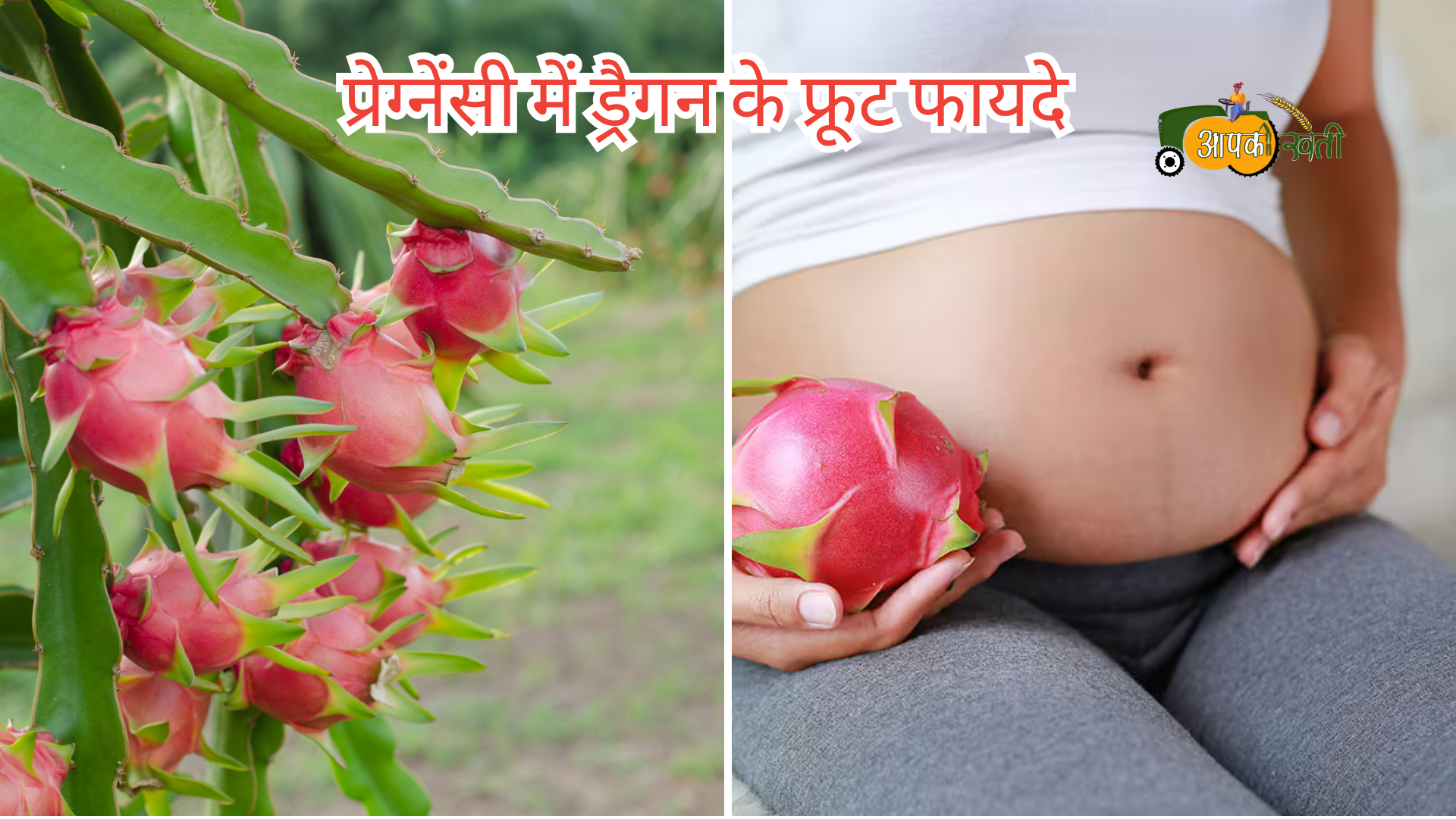 Dragon Fruit Khane Ke Fayde-Aapkikheti.com