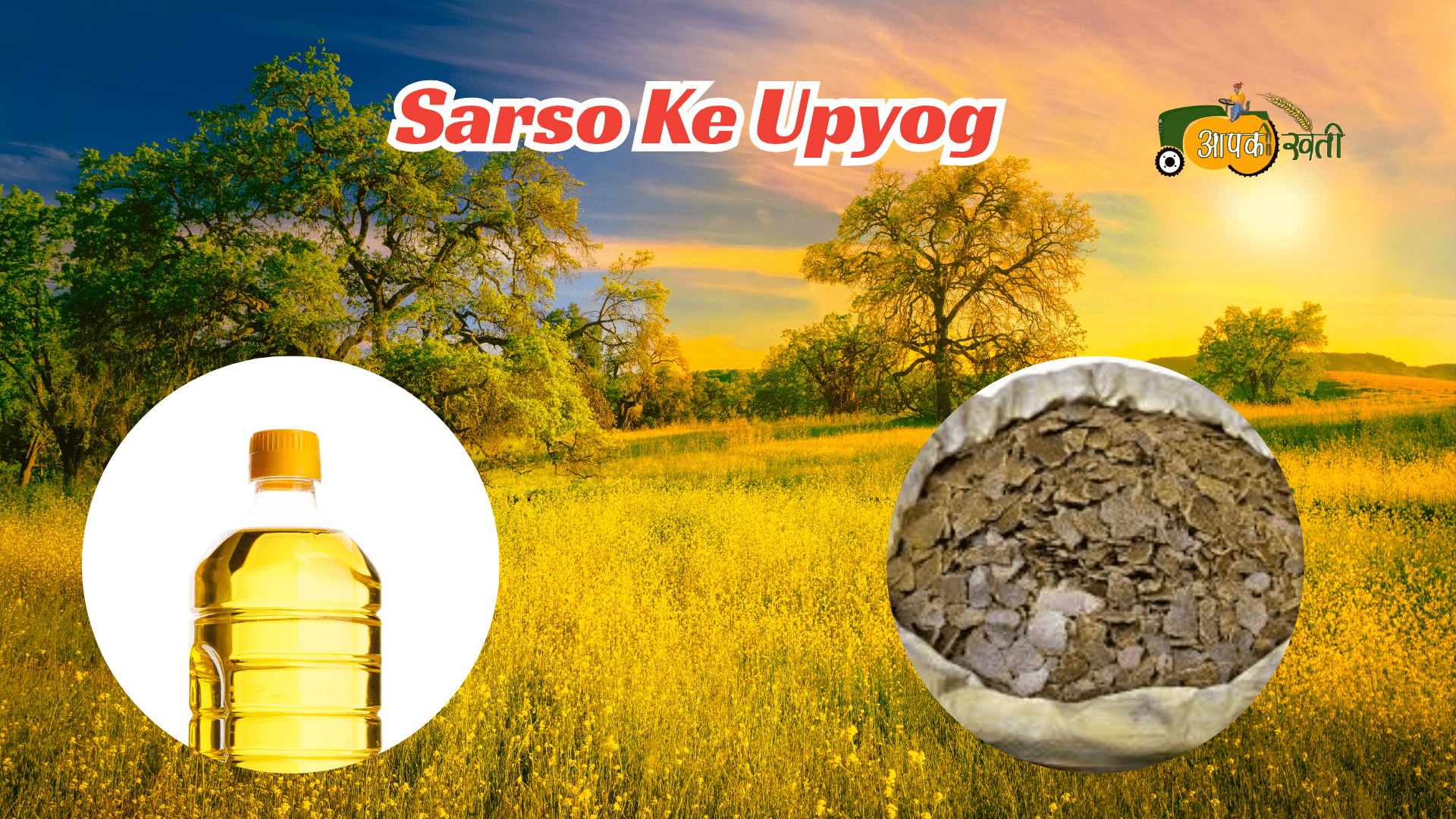 sarso ki kheti-Aapkikheti.com