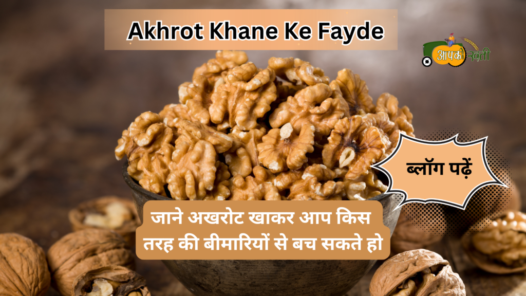 Akhrot khane ke fayde-Aapkikheti.com