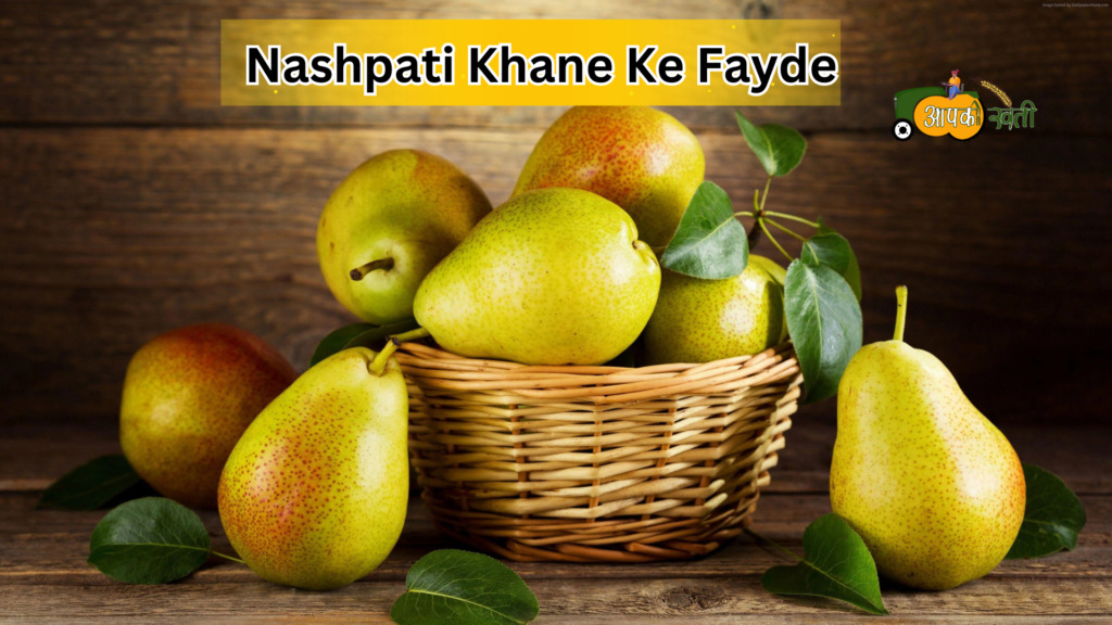 Nashpati Khane Ke Fayde-Aapkikheti.com