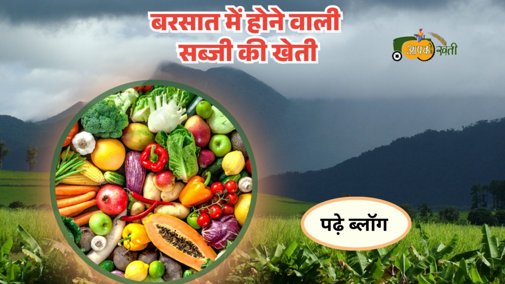बरसात में होने वाली सब्जी की खेती-Aapkikheti.com