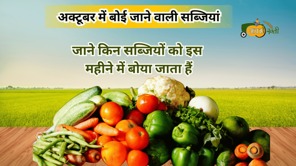 अक्टूबर में बोई जाने वाली सब्जियां-Aapkikheti.com