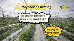Polyhouse Farming-Aapkikheti.com