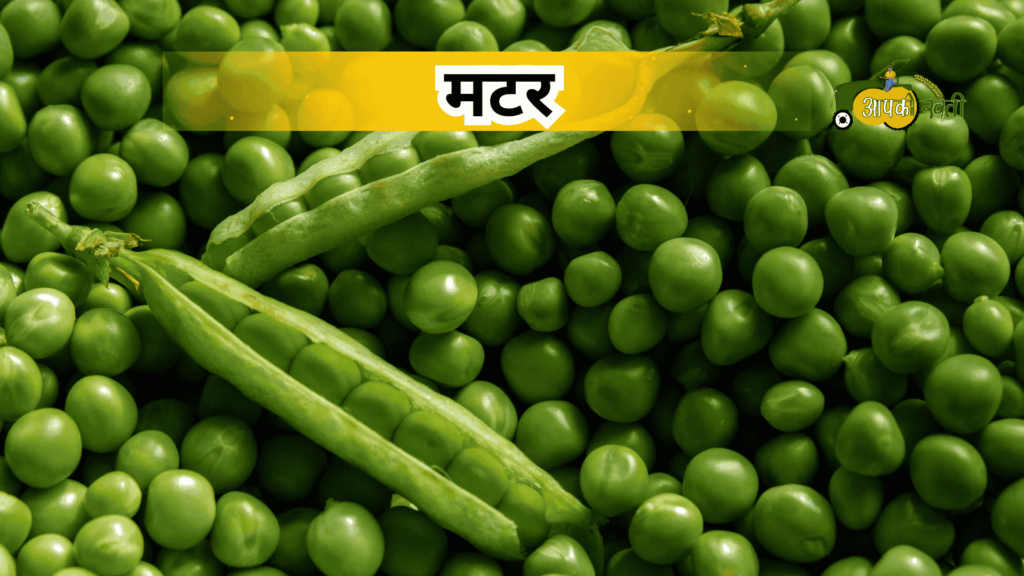अक्टूबर में बोई जाने वाली सब्जियां-Aapkikheti.com