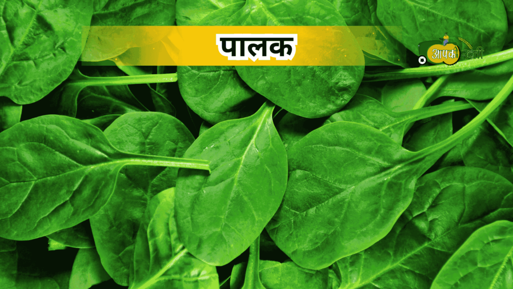अक्टूबर में बोई जाने वाली सब्जियां-Aapkikheti.com
