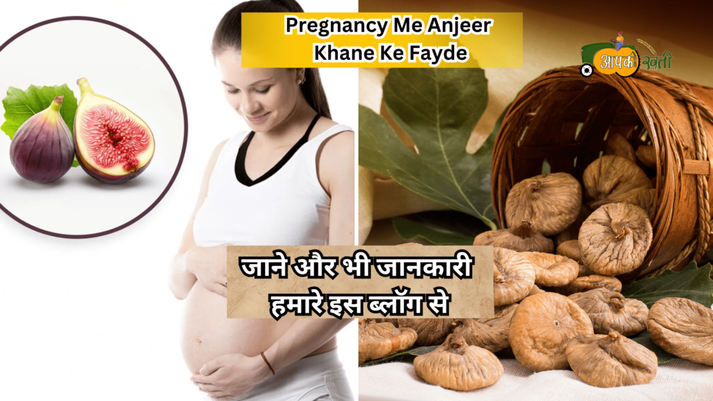 Pregnancy Me Anjeer Khane Ke Fayde-Aapkikheti.com