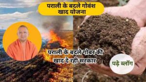 'पराली के बदले गोवंश खाद योजना-Aapkikheti.com