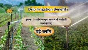 Drip Irrigation Benefits-Aapkikheti.com