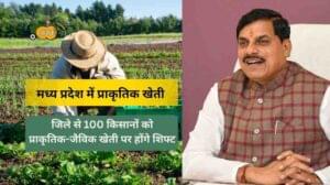 मध्य प्रदेश में प्राकृतिक खेती-Aapkikheti.com